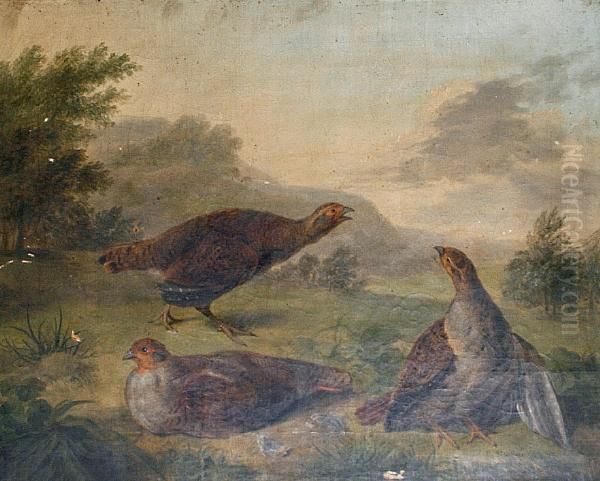 Three Game Birds Oil Painting by Abel Hold