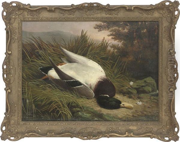 A Dead Mallard Oil Painting by Benjamin, Ben Hold