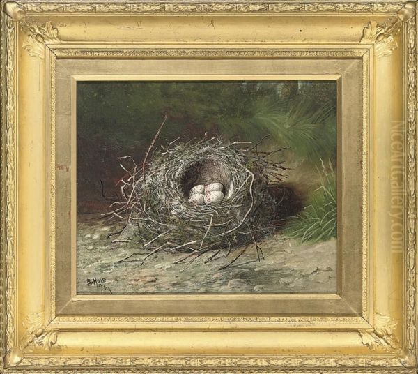 Birds Eggs In A Nest On A Grassy Bank; And Birds Eggs In A Nest Ona Sandy Bank Oil Painting by Benjamin, Ben Hold