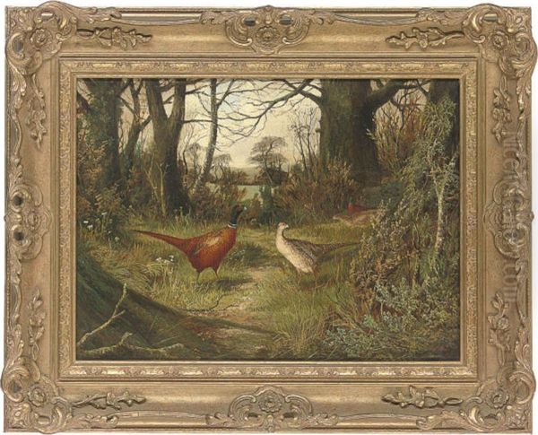 Pheasants On A Wooded Path With A Gate Beyond Oil Painting by Benjamin, Ben Hold