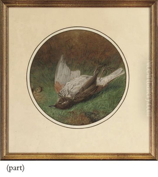 A Chaffinch; And A Thrush (a Pair) Oil Painting by Benjamin, Ben Hold