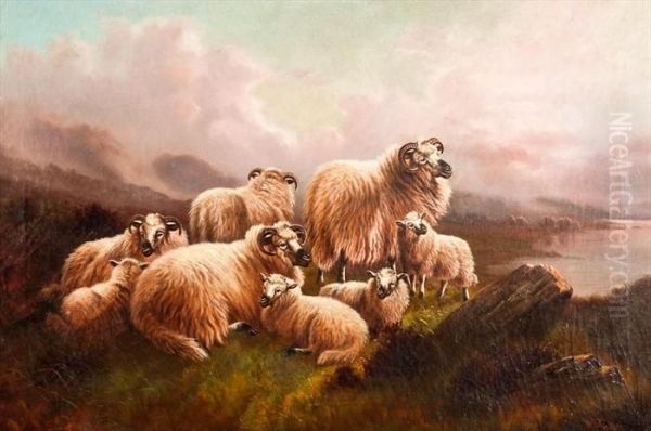 Sheep Resting Oil Painting by William Perring Hollyer