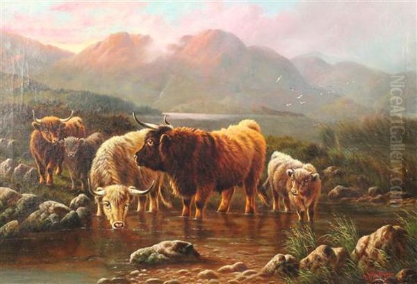 Highland Cattle Watering Oil Painting by William Perring Hollyer