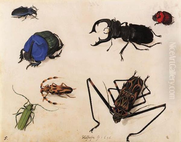 A Mottled Longhorn Beetle, A Musk Beetle, A Blue Rhinoceros Beetle,a Cerulean Chafer Beetle, A Stag Beetle, Scarlet Rhinoceros Beetleand Another Oil Painting by Pieter The Elder Holsteyn