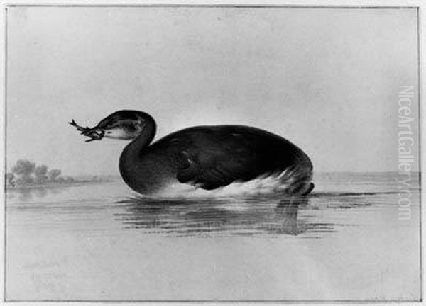 A Moorhen With A Fish In Its Beak Oil Painting by Pieter The Elder Holsteyn