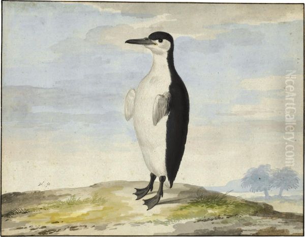 A Penguin by Pieter the Younger Holsteyn