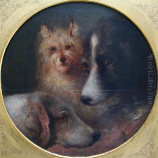 Study Of Three Dogs' Heads Oil Painting by Edwin Frederick Holt