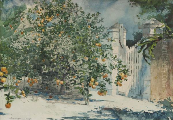 Orange Trees And Gate Oil Painting by Winslow Homer