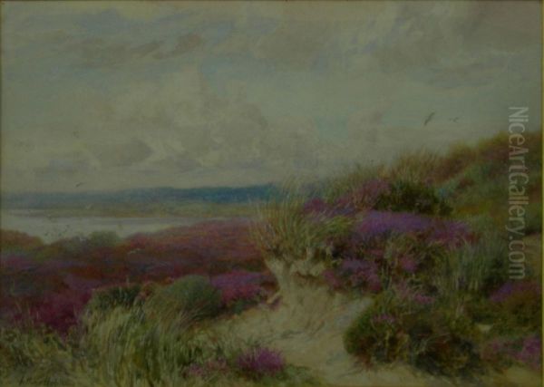 The Foreshore At Studland With A Corner Of Littlesea Oil Painting by Arthur Hopkins