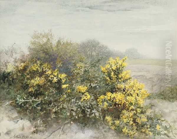 Gorse In Flower On The Isle Of Wight Oil Painting by Arthur Hopkins