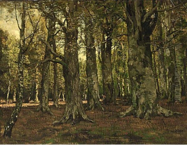 Beechwood Oil Painting by Ferdinand Bernhard Hoppe