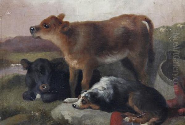 Calves And A Sheepdog Oil Painting by George W. Horlor