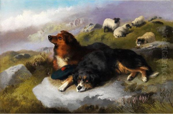 Zwei Schottische Hirtenhunde Oil Painting by George W. Horlor