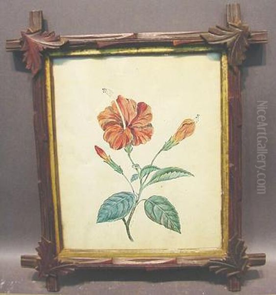 Botanical Study Of Hibiscus Flower Oil Painting by India L. Horne