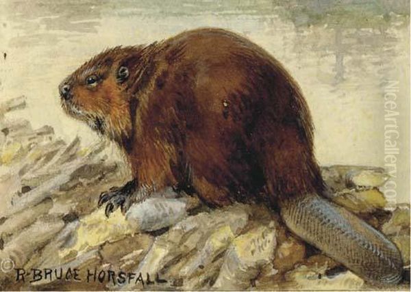 Raccoon; Also A Companion Watercolor Of A Beaver Oil Painting by Robert Bruce Horsfall