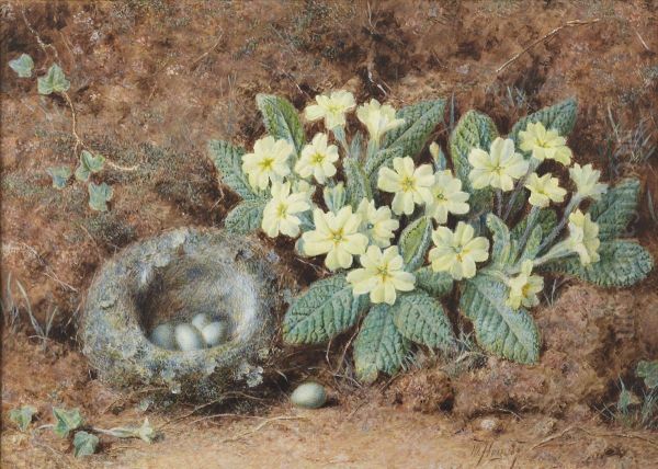 Primroses And Bird's Nest On A Mossy Bank Oil Painting by William Hough