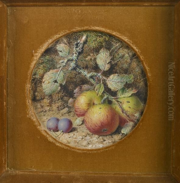 A Still Life With Apples Oil Painting by William B. Hough