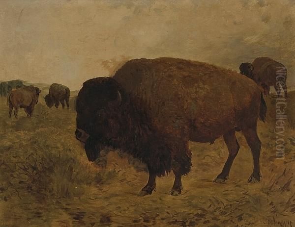 Grazing Bison Oil Painting by John Dare Howland