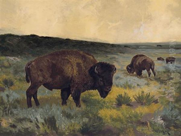 The American Buffalo Oil Painting by John Dare Howland