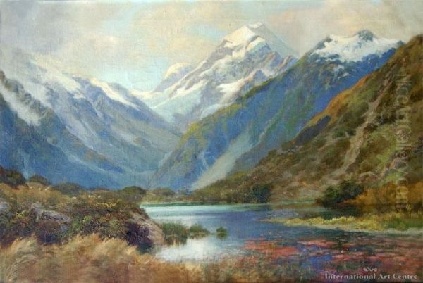 Mt Cook From Red Lake, Hermitage Oil Painting by Charles Henry Howorth