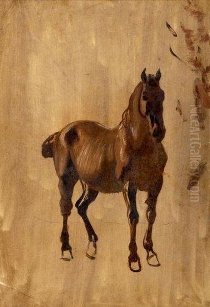 Etude De Cheval Oil Painting by Jean Huber