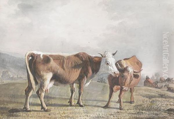 Zwei Kuhe Auf Der Weide Oil Painting by Jean Daniel Huber