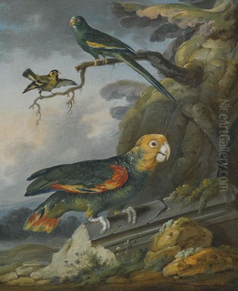 A Parrot, A Perroquet And A Gold Finch At The Base Of A Tree Oil Painting by Christophe Huet