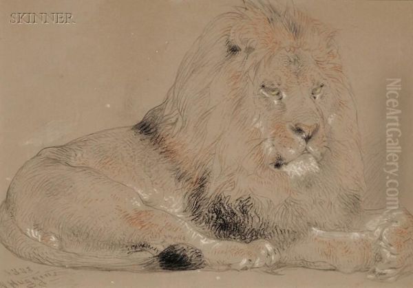 Resting Lion Oil Painting by William Huggins