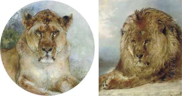 Resting Lion Oil Painting by William Huggins