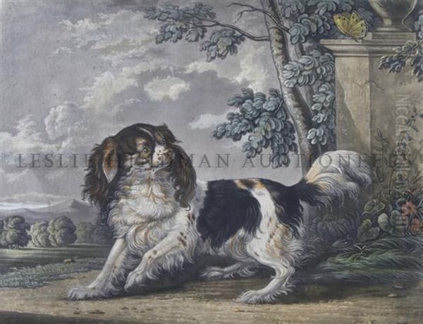 Springer Spaniel Oil Painting by George Hart Hughes