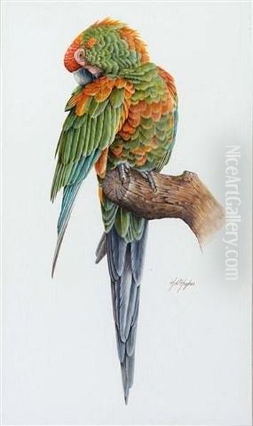 A Parrot On A Tree Stump Oil Painting by H. Hughes