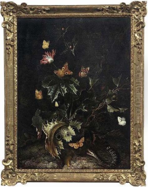 A Nocturnal Still Life Ofthistles With A Snake And Butterflies Oil Painting by Trajan Hughes