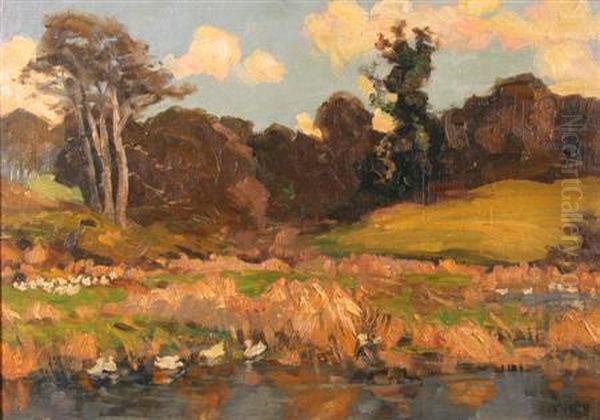 Evening Glow, Edenderry by Frederick W. Hull