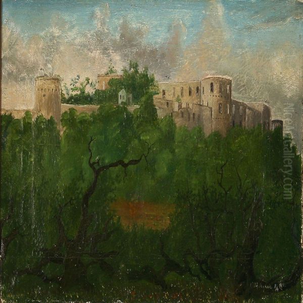 Summer Day At Borgholm Castle In Skaane by Oscar Hullgren