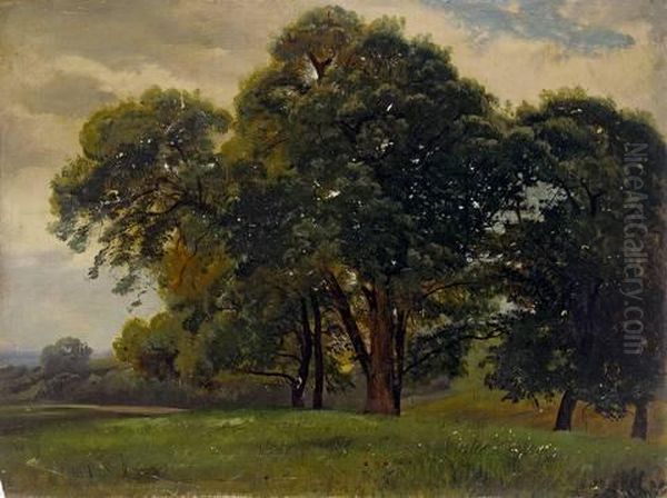 Forest Near Weimar Oil Painting by Carl Hummel