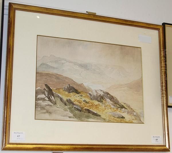 Grasmere Oil Painting by Andrew Hunt