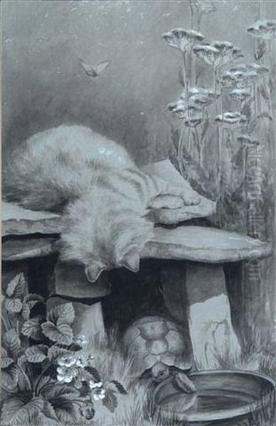 A Kitten Peering Over A Stone Ledge At A Tortoise Oil Painting by Muriel Hunt