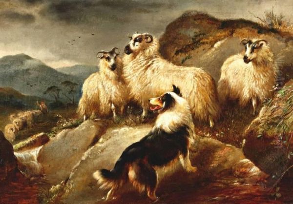 Hond En Schaapkudde In De Highlands Oil Painting by Walter Hunt