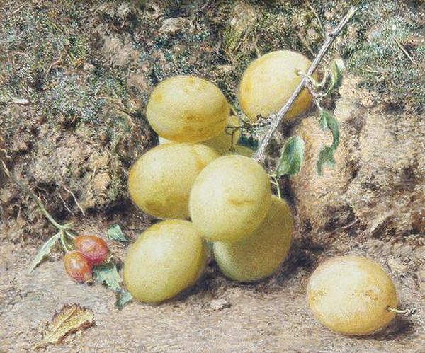 Magnum Bonum Plums Oil Painting by William Henry Hunt