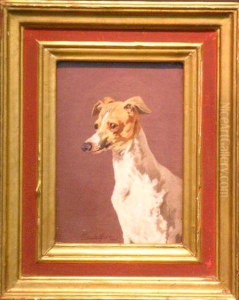 Head Of A Whippet Oil Painting by James Brownlee Hunter