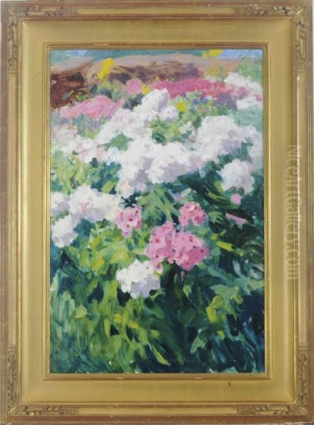 Phlox Oil Painting by Lizbeth Clifton Hunter