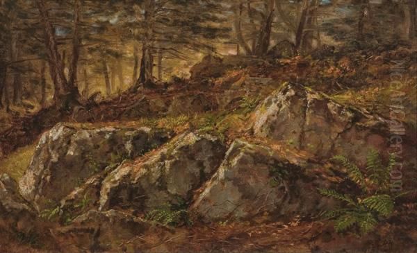 Boulders In A Wooded Interior Oil Painting by Daniel Huntington