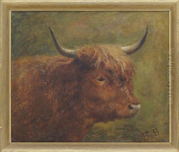 Head Of A Bull Oil Painting by Louis Bosworth Hurt