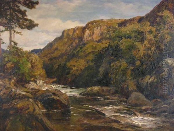 Landscape With Mountain Stream And Fisherman Oil Painting by Thomas Huson