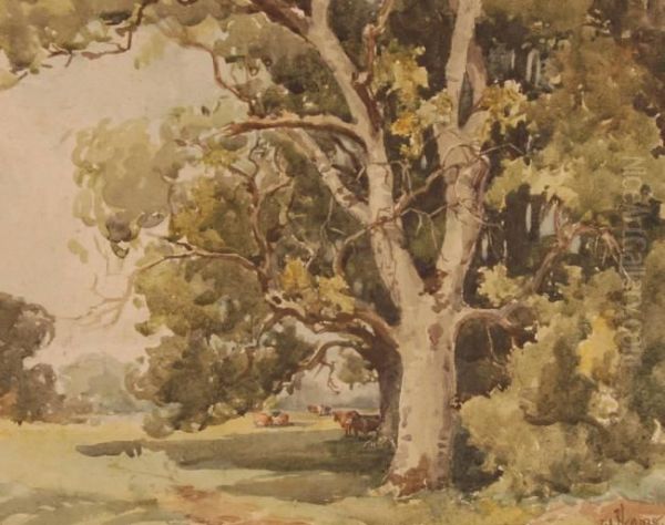 Cattle Sheltering Under Trees Oil Painting by William Hyams