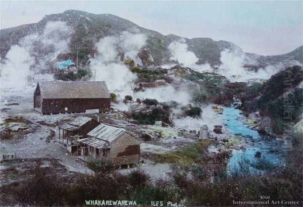 Whakarewarewa Oil Painting by Arthur James Iles