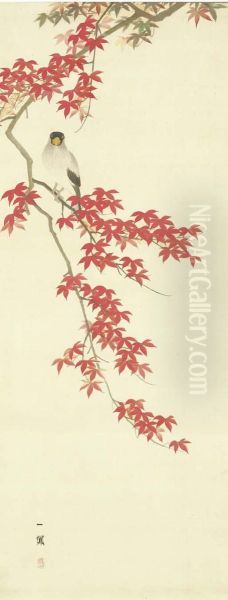 Autumn Maples And Japanese Grosbeak Oil Painting by Ippo