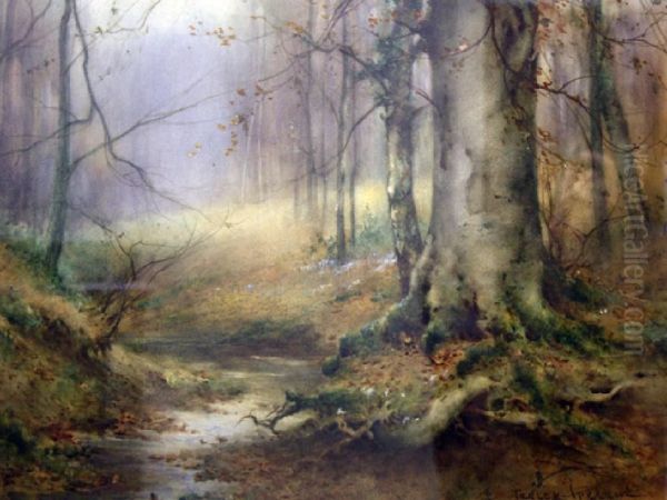 Wooded Glen Oil Painting by Thomas Tayler Ireland