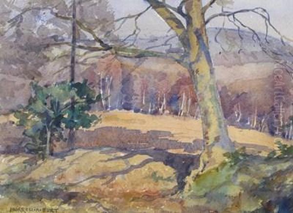 A Pool In The Beech Wood Oil Painting by Thomas Tayler Ireland