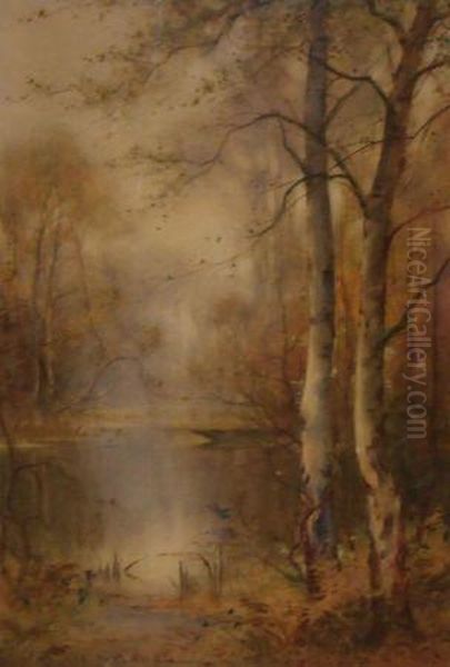 A Woodland Pool Oil Painting by Thomas Tayler Ireland